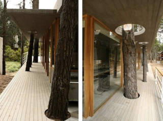 Illustration for article titled 8 Buildings Designed to Incorporate the Trees Around Them